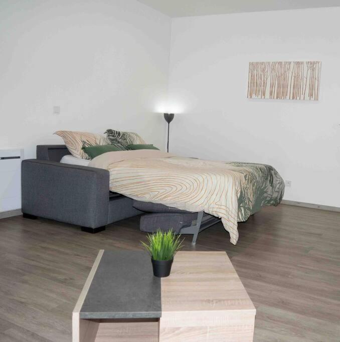 *Douceur Des Tropiques*Parisis Apartment Аржантьой Екстериор снимка